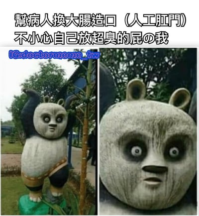 这是一张左右对比的搞笑梗图，左侧是一个双手举起的熊猫雕像，右侧是该雕像面部的特写。图片上方配有文字：'帮病人换大肠造口（人工肛门）不小心自己放超臭的屁の我'，通过熊猫雕像震惊的表情来幽默表现医护人员在工作中可能遇到的尴尬瞬间。