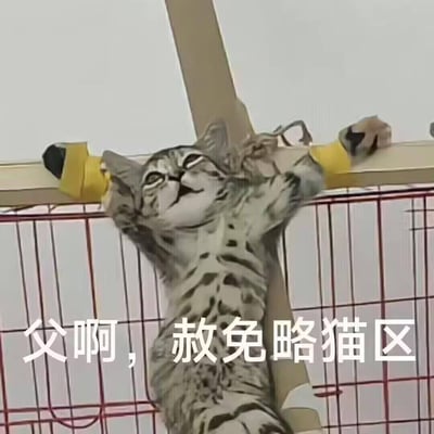 一只虎斑猫戏剧性地悬挂在金属栏杆上，双眼紧闭，嘴巴张开，仿佛在发出恳求。图片底部配有文字“父啊，赦免略猫区”，将猫咪拟人化，营造出一种幽默的恳求场景。猫咪的姿势和表情与文字内容形成有趣的呼应，创造出喜剧效果。