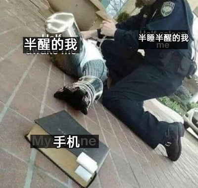 这是一张改编而成的幽默表情包，原图为实拍的民警给被控制人员戴上手铐的场景，创作者为图中不同部分添加了对应文字标注：将实施抓捕控制的民警标注为「半睡半醒的我」，将被控制铐住的对象标注为「半醒的我」，将地面放着的书本标注为「手机」，用这个充满张力的抓捕场景，调侃人们在睡醒或者睡梦中半醒状态时，理智想要克制自己不碰手机，但潜意识还是忍不住想要去拿手机的纠结状态，生动表现了现代人忍不住想要玩手机的日常挣扎。
