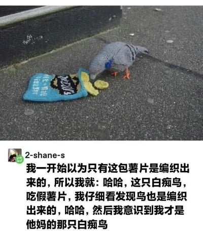图片上半部分是一只灰色带有蓝色颈部羽毛的鸽子，正低头啄食散落在沥青地面上的黄色“薯片”，旁边放着一个蓝色编织袋，袋子上有“SALT & VINEGAR”字样和类似薯片品牌的图案。下半部分是社交媒体用户“2-shane-s”的评论，描述了自己的搞笑误解过程：起初以为只有薯片袋是编织的，嘲笑鸽子吃假薯片，随后发现鸽子也是编织的，最后自嘲“我才是那只白痴鸟”。整个场景通过手工编织的鸽子和薯片袋营造出逼真的视觉效果，搭配用户的真实心理活动，充满幽默和反转感。