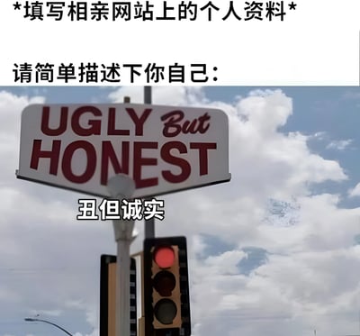 图片上方有标题“*填写相亲网站上的个人资料*”，下方配有文字“请简单描述下你自己：”。主体部分是一张街景照片，画面中央有一个路牌，上面用红色大写字母写着“UGLY But HONEST”，路牌下方有白色中文翻译“丑但诚实”。路牌后面可见一个亮着红灯的红绿灯，背景是蓝天白云。图片通过将路牌文字与相亲网站的自我描述问题结合，以幽默自嘲的方式表达“虽然外貌不佳但性格诚实”的自我定位，充满搞笑效果。