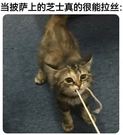 一张搞笑梗图，上方配有文字“当披萨上的芝士真的很能拉丝:”，下方是一只嘴里叼着白色绳子的猫。图片通过视觉比喻，用猫嘴里叼着的长绳子来幽默地表现披萨芝士超强的拉丝效果，形成有趣的联想。