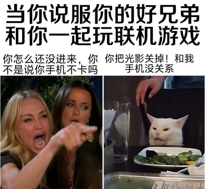 这是一张双面板对比梗图，上方文字为'当你说服你的好兄弟和你一起玩联机游戏'。左侧面板是一位表情愤怒的金发女性手指指向旁边的人，配文'你怎么还没进来，你不是说你手机不卡吗'；右侧面板是著名的'沙拉猫'坐在餐桌前，表情不屑，配文'你把光影关掉！和我手机没关系'。图片幽默地表现了游戏玩家之间常见的关于设备性能和游戏设置的对话，当朋友找借口不加入游戏时的情景。