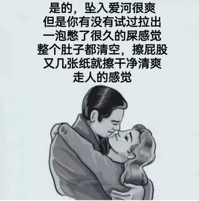 这是一张充满反差感的搞笑网络梗图，采用顶配底文的图文混排形式，顶部文字先承认坠入爱河的体验十分美好，随即话锋一转，将其与憋很久之后顺利排便、肚子清空、擦拭干净后清爽离开的生理畅快感做对比，认为后者体验更佳；底部搭配的是一对男女亲密相拥接吻的黑白浪漫插画，严肃浪漫的恋爱场景与接地气甚至有些粗俗的排便感受描述形成强烈反差，营造出荒诞搞笑的吐槽效果。