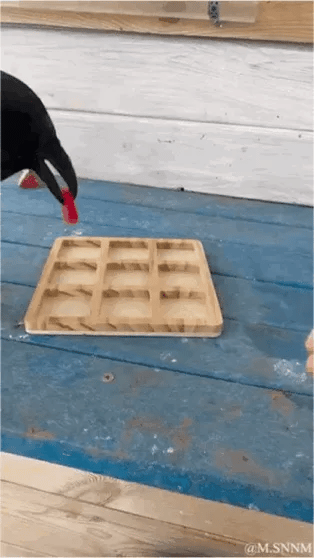 这是一段动态图（GIF），画面中一只戴着黑色手套的手，正将一枚红色小方块放置在蓝色台面的木质九宫格托盘的格子中，动作看起来像是在进行一种放置类的操作，场景是在一个有白色木板背景的工作台区域，整体画面聚焦于手部和木托盘的互动，节奏平缓，带有解压感。