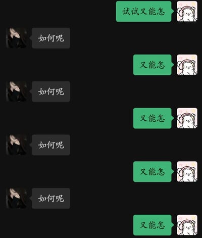 这张图模仿了聊天软件的对话界面，一方多次问“如何呢”，另一方回应“又能怎样”，其中首句为“试试又能怎样”，后面的回复全都是“又能怎样”。配图头像一方是遮脸女生照片，另一方是戴耳机的Q版熊猫表情包。这种回复反映出“摆烂”“随缘”的态度，有点无奈和佛系，内涵表达面对难题或者反复询问时的不抱希望和不在意。整体氛围搞笑又带点“自我调侃”。

无谐音梗，无明显双关，属于情绪表达类表情包。