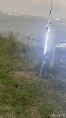 这是一段记录钓鱼瞬间的动态图（GIF），画面中一条体型不小的海鱼被钓线挂住，在岸边的草地与水域上方疯狂甩动身体，试图挣脱钓线，动作过程中溅起水花，充满了鲜活的张力，直观展现出鱼儿被捕获时的本能挣扎状态。