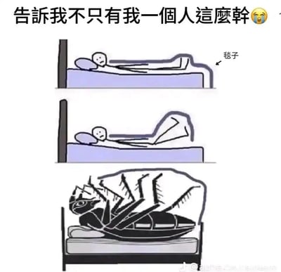 这是一组连环搞笑卡通图，顶部配文“告诉我不只有我一个人这么干😢”，以递进的画面展现搞笑脑洞：第一张图是一个表情苦恼的火柴人躺在床上，仅用毯子盖住脚部；第二张图中毯子的轮廓更贴合脚部，形似虫子的身体；第三张图直接将画面夸张化，变成一只巨型虫子躺在床上，毯子盖在虫子身上，用荒诞的比喻调侃自己睡觉只盖脚的奇怪习惯，以此引发有相同行为的网友的共鸣，充满趣味与笑点。