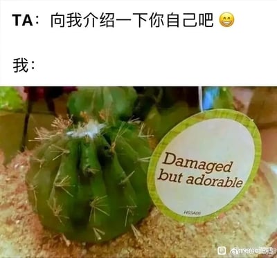 这是一张用于表达自我调侃的幽默梗图，整体采用上下分栏的图文混排形式。上方是对话场景，角色TA说道“向我介绍一下你自己吧😊”，下方则是“我”的回应：用一株顶部有明显破损的绿色仙人掌来指代自己，仙人掌旁的圆形标签上写着英文“Damaged but adorable”，翻译成中文是“虽有破损但依旧可爱”。这张图用拟人的方式，将自身比作这株仙人掌，以此幽默地表达当代人带有自嘲意味的自我认知——即便自己存在小缺点、小伤痕，或是经历过一些挫折，但依然是值得被喜爱的，这种带有积极心态的自嘲很容易引发大众共鸣，常被用于社交场景里介绍自己时，用轻松幽默的方式拉近距离、展现真实的自我状态。