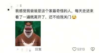 图片为社交媒体截图，上方文字内容为：'我感觉我爸爸是这个家最奇怪的人，每天走进来看了一遍就离开了，还不给我关门 😊'，下方配有一张《狮子王》中角色彭彭的截图，彭彭表情疑惑地直视前方。图片底部显示有'回复'按钮和5313个点赞数，整体通过幽默的文字结合动画角色表情，吐槽爸爸的日常奇怪行为。