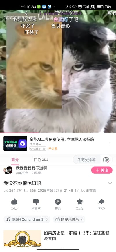 该图片为B站视频截图，画面主体是两只猫咪的拼接图（左侧橘猫，右侧黑白猫），上方叠加文字“我我我是敌人来 bilibili 会赢的了吧 吓哭了 吉良吉影 吓哭了 吓哭了”。视频由用户“我我我我不道啊”上传，发布于2025年6月27日21:48，累计播放264.7万，获7.4万点赞。截图下方显示视频简介、评论数（2123条）及互动数据，底部有“全能AI工具免费使用”的广告。文字中的“吉良吉影”是《JoJo的奇妙冒险：不灭钻石》中的角色，此处用于调侃猫咪的表情，营造搞笑效果。