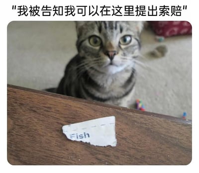 这是一张充满趣味的拟人化梗图，画面主体是一只蹲在木质桌子后方的狸花猫，它眼神委屈又带着认真的神情注视着前方，仿佛在等待回应。桌子边缘贴着一张残旧的白色标签，上面印有英文单词“Fish”。图片上方配有中文文字“我被告知我可以在这里提出索赔”，结合标签上的“Fish”（意为鱼，对应猫咪喜爱的小鱼干），将猫咪讨要食物的行为拟人化为正式的“索赔”行为，营造出荒诞又搞笑的场景，生动地表现出猫咪对食物的执着，充满治愈感和趣味性。