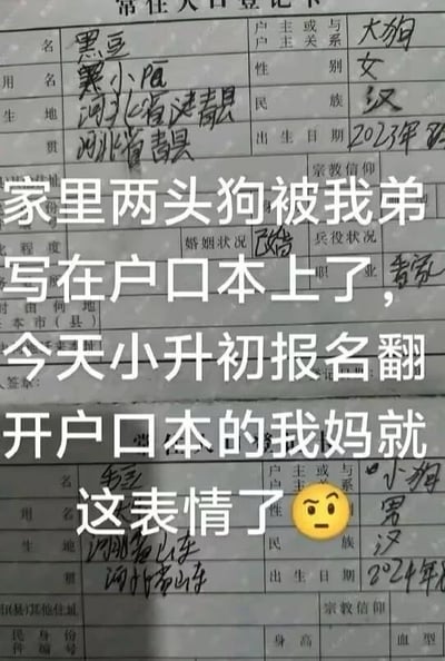 图片展示了一张手写的户口本登记页，上面被弟弟恶作剧般填写了家里两头狗的信息。可见姓名栏写有“黑豆”“黑小阳”，户主关系栏标为“大狗”，性别“女”，民族“汉”，出生地“河北省青县”，出生日期“2023年”等内容。图片上方叠加文字“家里两头狗被我弟写在户口本上了，今天小升初报名翻开户口本的我妈就这表情了😑”，生动描述了妈妈发现后的无奈又好笑的反应。