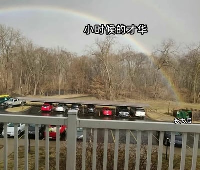 这是一张带有对比文字标注的写实拍摄横图，画面呈现的是一处户外停车场及周边场景：前景是白色栏杆，中景是带顶棚的停车区，停放着多辆各色汽车，地面潮湿，背景是一片枯黄的树林，天空中悬挂着一道完整的彩虹。图片通过文字标注形成强烈对比：天空中的彩虹被标注为“小时候的才华”，象征着童年时期充满绚烂色彩、怀揣无限可能的才华与理想；画面右下角的绿色垃圾桶被标注为“长大后”，隐喻着成年后被生活打磨，曾经的才华与理想消逝，归于平凡琐碎的日常。整张图以幽默自嘲的方式，戳中大众在成长过程中从憧憬满怀到接受平凡的普遍心境，引发情感共鸣。