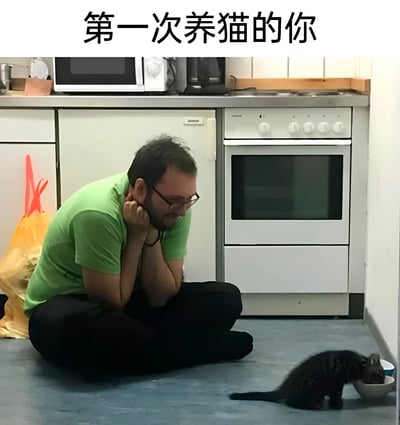 图片展示了一个温馨的居家场景：一位穿着绿色T恤的男子正坐在厨房地板上，双手托腮，专注地看着一只小黑猫低头吃碗里的食物。男子表情温柔而专注，体现了第一次养猫时的细心与期待。上方文字"第一次养猫的你"点明了主题，生动描绘了新手铲屎官观察猫咪进食时的真实状态。