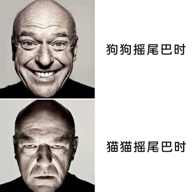 这是一张上下对比的表情包，上方是咧嘴大笑的人物表情，配文“狗狗摇尾巴时”，对应狗狗摇尾巴通常代表开心、兴奋的情绪；下方是面色严肃、神情不悦的人物表情，配文“猫猫摇尾巴时”，对应猫猫摇尾巴大多是愤怒、不耐烦的信号。作品用两种反差强烈的表情，直观又生动地展现了猫狗摇尾巴所代表的不同情绪含义，趣味十足，很容易引发宠物爱好者的共鸣。