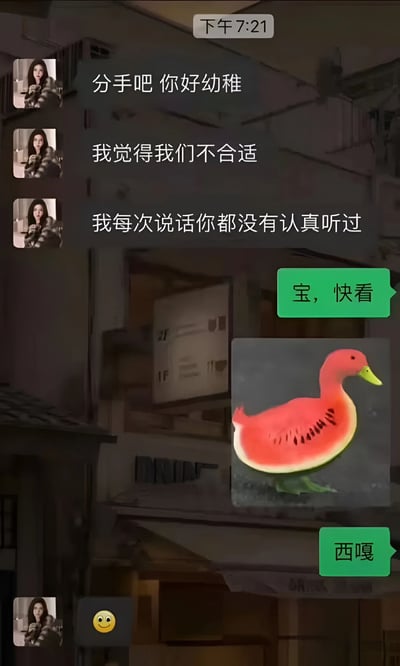 这是一张聊天记录截图，显示了一段有趣的分手对话。一方正在认真提出分手，说"分手吧 你好幼稚"、"我觉得我们不合适"和"我每次说话你都没有认真听过"，而另一方却完全没有理会分手的话题，反而发来一张西瓜雕刻成鸭子形状的图片，并配文"宝，快看"和"西嘎"（可能是指西瓜鸭）。最后对方只回复了一个笑脸表情。这种答非所问的反差制造了幽默效果。