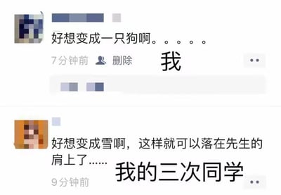 社交媒体聊天记录截图，展示了两条个人状态。上方为“我”发布的内容：“好想变成一只狗啊。。。。。”，发布时间显示为7分钟前，带有删除按钮；下方为“我的三次同学”发布的内容：“好想变成雪啊，这样就可以落在先生的肩上了......”。两条状态形成鲜明对比，前者直白朴素地表达了对简单生活的向往，后者则文艺浪漫，充满诗意。