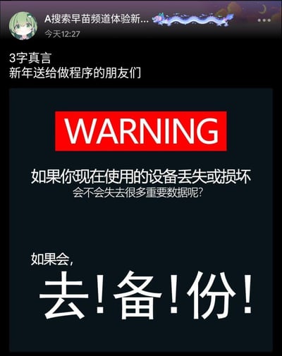 这是一张发布在社交媒体上的新年实用提醒图，专门面向程序员群体。图中以醒目的红色「WARNING」标题引出灵魂拷问：「如果你现在使用的设备丢失或损坏，会不会失去很多重要数据呢？」，最后用极具冲击力的「去！备！份！」三个大字给出答案，用直白有力的语气提醒程序员重视数据备份，避免因设备故障或丢失损失代码、项目文件等重要数据。内容无谐音梗或双关，是纯粹的实用警示类内容。