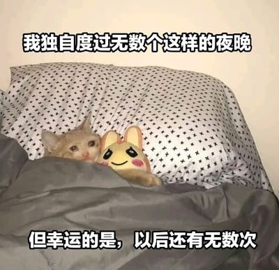 一只小猫和一个黄色兔子玩偶躲在带有星星图案的被子里，只露出头部。图片上方配有文字“我独自度过无数个这样的夜晚”，下方配有文字“但幸运的是，以后还有无数次”。这张图片通过可爱的猫咪和玩偶形象，以幽默的方式表达了孤独的情绪，带有自嘲和黑色幽默的意味。