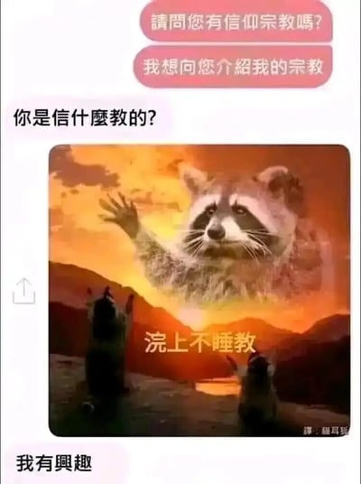 这是一张以聊天记录形式呈现的搞笑梗图，模拟了宗教传教的对话场景：先是一方发起询问“请问您有信仰宗教吗？我想向您介绍我的宗教”，另一方好奇回应“你是信什么教的？”，随后出现一张合成创意图——将浣熊的脸合成到类似宗教神像的位置，下方两只浣熊做出朝拜姿势，配文“浣上不睡教”，利用“浣”与“晚”的谐音，调侃熬夜的生活状态，最后另一方回复“我有兴趣”，完成整个玩梗流程，用轻松幽默的方式引发熬夜人群的共鸣。