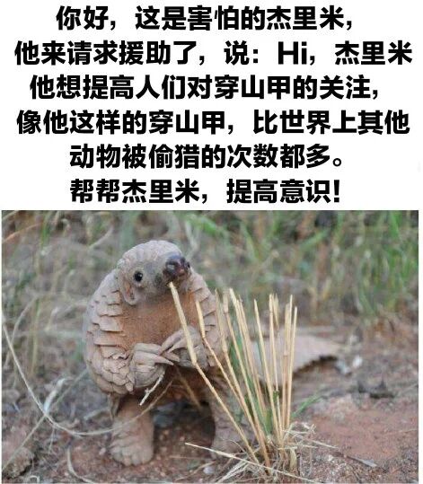 野生动物保护宣传