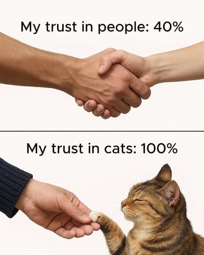 图片分为上下两部分对比展示：上方是两只人手握在一起，配文“My trust in people: 40%”（对人的信任度：40%）；下方是一只人手与猫爪相握，配文“My trust in cats: 100%”（对猫的信任度：100%）。通过夸张的百分比差异，幽默地表达了相比人类，对猫咪抱有更高信任的情感倾向。