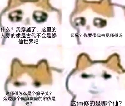 这是一张四格连环meme图，采用热门的Mur猫衍生表情，配合文字演绎了一个荒诞的穿越故事：第一格猫咪带着疑惑的表情，以为自己穿越到了修仙世界；第二格猫咪满怀期待，询问是否要去见师傅；第三格猫咪露出嫌弃的表情，吐槽师傅是癞子头，疑惑旁边疯疯癫癫的家伙是谁；第四格猫咪表情崩溃，心态炸裂地质疑这修的是什么仙。图中将传统穿越修仙文的套路与《熊出没》的角色形象结合，用强烈的反差感制造搞笑效果，解构了修仙文的常见设定，引发网友共鸣。