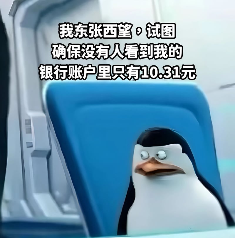 Skipper