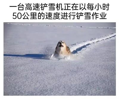 图片上方配有文字“一台高速铲雪机正在以每小时50公里的速度进行铲雪作业”，下方是一只狗在雪地里奔跑的照片。狗狗在雪地上留下了一条清晰的轨迹，看起来像是铲雪机铲过的痕迹，形成了幽默的对比效果。