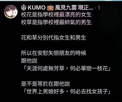 这是一张社交媒体截图，内容为用户对传统称谓和成语的幽默改编。帖子先解释“校花”指学校最漂亮的女生，“校草”指最帅气的男生，进而将“花”和“草”分别对应女生和男生。随后脑洞大开地提出：安慰失恋朋友时说“天涯何处无芳草，何必单恋一枝花”，按此对应关系就相当于在说“世界上男生很多，何必去找女孩子”，用错位逻辑制造出搞笑效果。