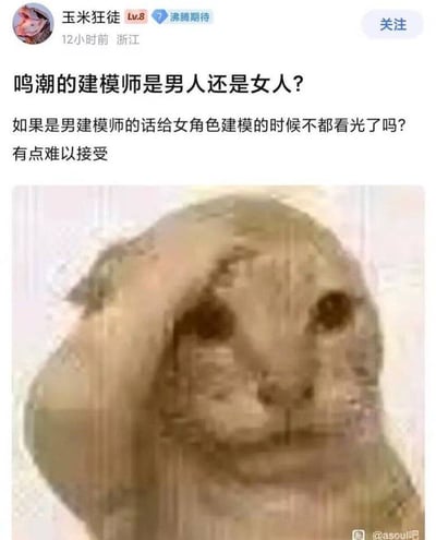 社交媒体用户“玉米狂徒”发布的帖子，内容质疑游戏《鸣潮》建模师的性别，称“如果是男建模师给女角色建模时不都看光了吗？有点难以接受”。帖子下方配有一张模糊的人物面部特写图片，表情略显困惑或无奈，直观展现了发帖者对该问题的纠结情绪。