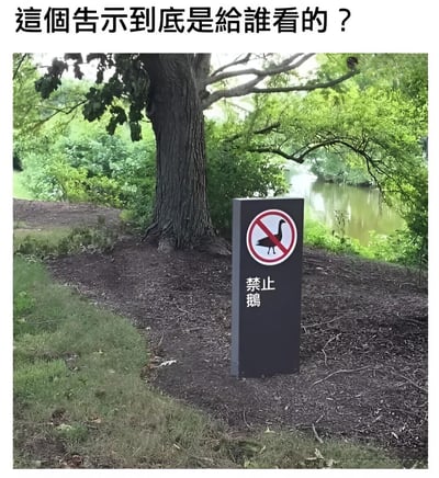 图片展示户外场景中的告示牌，写有'禁止鹅'及划掉的鹅图案，背景为树木与水域。上方添加文字'这个告示到底是给谁看的？'，以幽默方式引发对告示对象合理性的思考。