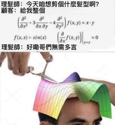 这是一张搞笑合成梗图，分为上下两部分：上半部分是理发师与顾客的对话场景，顾客没有描述具体发型，而是给出了一个带边界条件的二阶线性偏微分方程，表示要剪这个“发型”；下半部分是理发师直接将顾客的头发剪成了该方程解对应的3D彩色曲面图的样子。图中用夸张的具象化方式，把抽象的数学难题转化为搞笑的理发场景，制造出理发师完美理解硬核需求的反差感，调侃了偏微分方程这类数学题的复杂程度，充满了理工科的趣味梗。