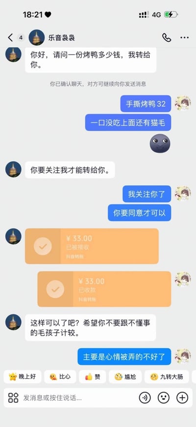这是一张抖音平台的私信聊天界面截图，左侧昵称为“乐音袅袅”的用户，因自家的猫弄脏了右侧网友购买的价值32元的手撕烤鸭，主动找到该网友协商赔偿事宜。乐音袅袅先是表示需要对方关注自己才能转账，网友关注后，乐音袅袅转账了33元，还表示希望网友不要和不懂事的毛孩子计较，收到赔偿的网友则回复称自己主要是因为这件事心情被弄得不好了，界面底部还显示了抖音聊天的快捷表情输入栏。
