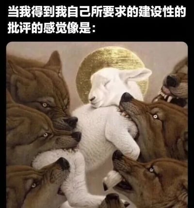 图片上方配有文字“当我得到我自己所要求的建设性的批评的感觉像是：”，下方是一幅视觉冲击力强的插画：一只洁白的羔羊闭着眼睛，头部后方有金色光环，仿佛象征着纯真或期待，而它正被多只面露凶光、獠牙外露的灰狼从四面八方包围、撕咬。通过强烈的视觉对比，幽默地表达了人们虽然主动要求“建设性批评”，但实际接收到时却感觉像被攻击的无奈与讽刺心理。