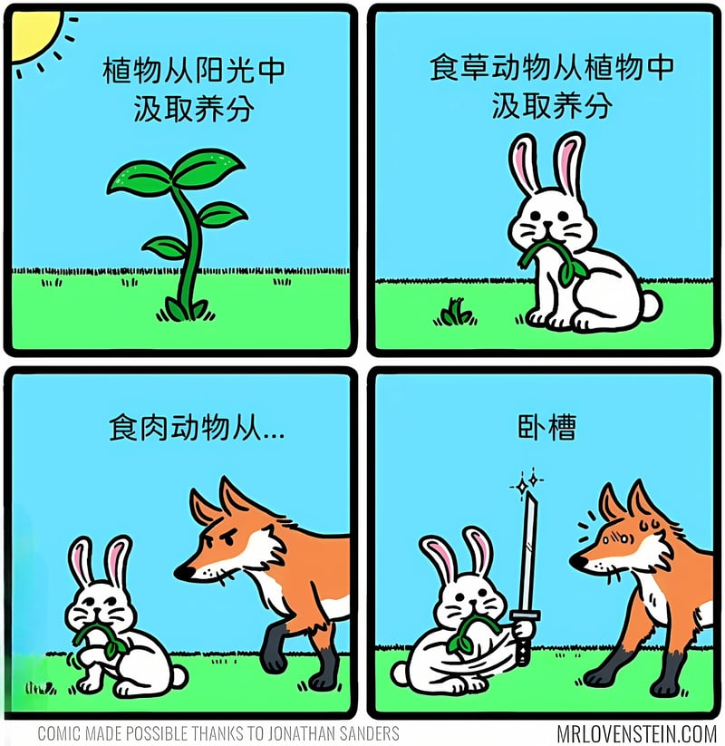 兔子