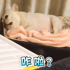 法斗