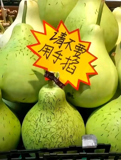 这是一张线下超市生鲜区的实拍静态图，画面中展示了多颗浅绿色的瓠瓜（葫芦瓜）整齐陈列在货架上，蔬果表皮带有自然的纹路，其中一颗位于画面下方的瓠瓜纹路更为密集。在陈列的瓠瓜中间，立着一个黄底红边的爆炸形提示牌，上面用黑色手写字体标注着“请不要用手掐”，用于提醒顾客不要掐碰蔬果以免造成损伤。一颗瓠瓜的瓜蒂处挂着带有“FRESH EV 新鲜”字样的标签，画面右下角可见价格标识牌，显示该商品价格为5.00。