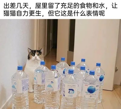 这张图片记录了主人出差前给自家三色猫咪准备充足物资的趣事，猫咪蹲坐在走廊墙角，面前被摆放了十多瓶大容量瓶装水，它睁着圆溜溜的眼睛，露出惊讶又疑惑的懵圈表情，仿佛对眼前大量的水感到不解。图片上方的文字说明主人出差留足了食物和水让猫咪自力更生，疑惑猫咪的反应，整个画面充满了可爱的反差感，十分搞笑。