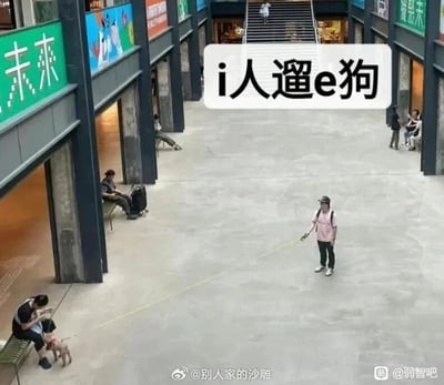 这张静态图拍摄于一个室内商业中庭空间，画面呈现出极具反差感的场景：画面右侧站着一位背着双肩包、戴着帽子的人，他手中握着一根超长的牵引绳；画面左侧的长椅上坐着另一个人，牵引绳的另一端拴在他身旁的小狗身上。图上方配有文字“i人遛e狗”，玩起了MBTI人格类型的梗——i人代表性格内向、社交能量匮乏、偏好独处的群体，e人代表性格外向、精力旺盛、热爱社交的群体。这里用反向的“遛狗”设定制造幽默：本该是遛狗的人变成了被“遛”的对象，将外向者比作精力旺盛需要消耗精力的狗狗，和内向者只想坐着不动的状态形成强烈反差，精准调侃了不同人格类型的行为特点，引发共鸣。