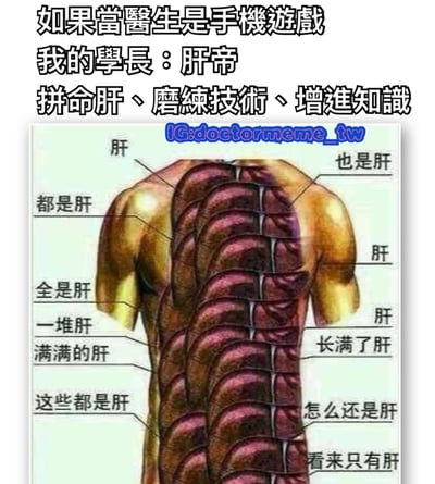 这张梗图将医生职业比作手机游戏，上方文字写着'如果当医生是手机游戏 我的学长：肝帝 拼命肝、磨练技术、增进知识'。下方是一张人体背部解剖图，但所有器官都被幽默地标注为各种与'肝'相关的文字，包括'肝'、'也是肝'、'都是肝'、'全是肝'、'一堆肝'、'满满的肝'、'这些都是肝'、'长满了肝'、'怎么还是肝'和'看来只有肝'。这里使用了双关语，'肝'既指人体器官肝脏，又在游戏术语中表示长时间投入精力玩游戏。
