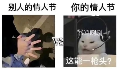 这是一张左右对比的梗图，左侧区域标注“别人的情人节”，展示了一对情侣牵手的温馨画面，传递出情人节里情侣相伴的甜蜜氛围；右侧区域标注“你的情人节”，使用了知名的“电竞猫”表情包，猫咪戴着耳机，面露不满，配文“骂骂咧咧”“这能一枪头？”，表现出单身人士在情人节独自玩游戏，还因游戏操作不顺而烦躁的状态。通过两种截然不同的场景对比，调侃了单身群体在情人节的日常，反差感强烈，十分贴合当下部分单身年轻人的生活写照。
