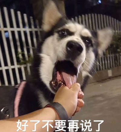 这张表情包里，一只哈士奇正用嘴咬住主人的手，表情非常不耐烦。底部配有文字“好了不要再说了”，搭配狗狗的互动动作，非常有“强行制止”或者“听腻了”的搞笑效果。常用于网络聊天中表达对对方啰嗦、不停讲话的无奈与崩溃。

本图带有拟人化情绪，通过动物动作映射人类沟通情境，带有“把嘴捂上不要说话”的暗示效果。
