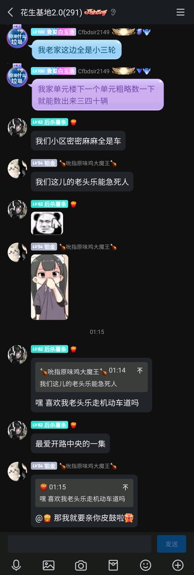 这是一张名为“花生基地2.0(291)”的群聊截图，群成员围绕日常出行中的低速电动车展开讨论与吐槽：成员“青菜白玉汤”提到老家小三轮数量极多，一个单元楼下就有三四十辆；“后杀薯条”表示自己小区里车辆密集；“吮指原味鸡大魔王”吐槽当地的老头乐（低速电动三轮车）让人着急，随后“后杀薯条”进一步吐槽老头乐违规走机动车道、开在路中间的乱象，最后两人以玩梗的方式互动，“吮指原味鸡大魔王”@对方并配愤怒表情说“那我就要亲你皮鼓啦”，聊天中还搭配了熊猫头无奈表情包、捂嘴卡通女孩表情包来烘托情绪。