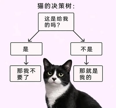 这是一张图文混排的趣味宠物梗图，画面中心是一只黑白奶牛猫，它睁着大眼睛，表情呆萌又带着傲娇感，安静地看向镜头。图片上方搭配了一个模拟猫咪逻辑的决策树：顶端问题为“这是给我的吗？”，若答案为“是”，则对应结果“那我不要了”；若答案为“不是”，则对应结果“那就是我的”。这个决策树精准调侃了猫咪傲娇逆反的典型习性，生动还原了猫咪总是对不属于自己的事物充满兴趣，却对主动提供的东西不屑一顾的常见行为，能引发养猫群体的强烈共鸣。