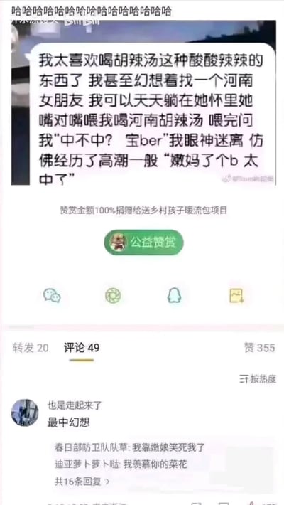 这是一张竖屏格式的社交媒体截图，顶部是一串连续的“哈哈哈哈哈哈哈哈哈哈哈哈哈”文字，引出下方的搞笑内容。中间是一段用户原创的搞笑幻想文案，内容为作者表达对胡辣汤的喜爱，用夸张且带有粗俗趣味的语言，幻想找一位河南女朋友，被对方嘴对嘴喂胡辣汤的场景，文案融入了“中不中”“宝ber”等河南方言元素，用低俗又夸张的表述制造笑点。文案下方标注“赞赏金额100%捐赠给乡村孩子暖流包项目”，并配有绿色的“公益赞赏”按钮。再下方是该内容的互动数据：转发20、评论49、赞355，评论区的热门评论为用户“也是走起来了”发布的“最中幻想”，其下还有其他用户的回复评论，如“我靠嫩娘笑死我了”“我羡慕你的菜花”等。右上角带有“@thisisdd 肉呆”的水印。