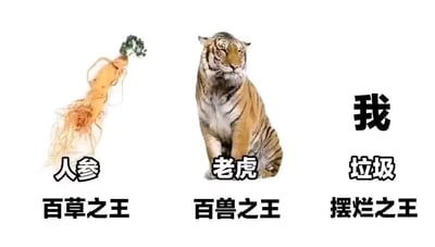 这是一张静态的三列对比梗图，画面从左到右分为三个区域：左侧是带有须根的人参，下方标注文字“人参”和“百草之王”；中间是一只蹲坐的老虎，神态平静目视前方，下方标注文字“老虎”和“百兽之王”；右侧是纯文字区域，上方为“我”，中间是“垃圾”，下方是“摆烂之王”。图片通过将代表正面、权威的“百草之王”“百兽之王”，与代表自我调侃的“摆烂之王”进行反差对比，以自嘲的方式表达当代年轻人在面对生活、职场压力时，选择摆烂的消极又诙谐的心态，内容直白有趣，没有双关或谐音梗，是典型的网络自嘲类趣味图片。