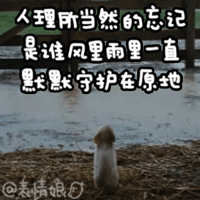 默默守护的你，是否被理所当然地忘记