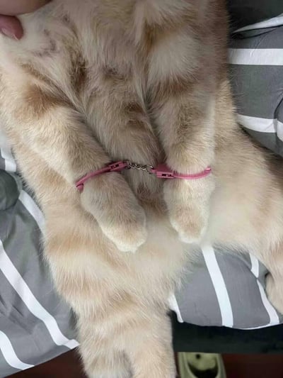 暂无描述